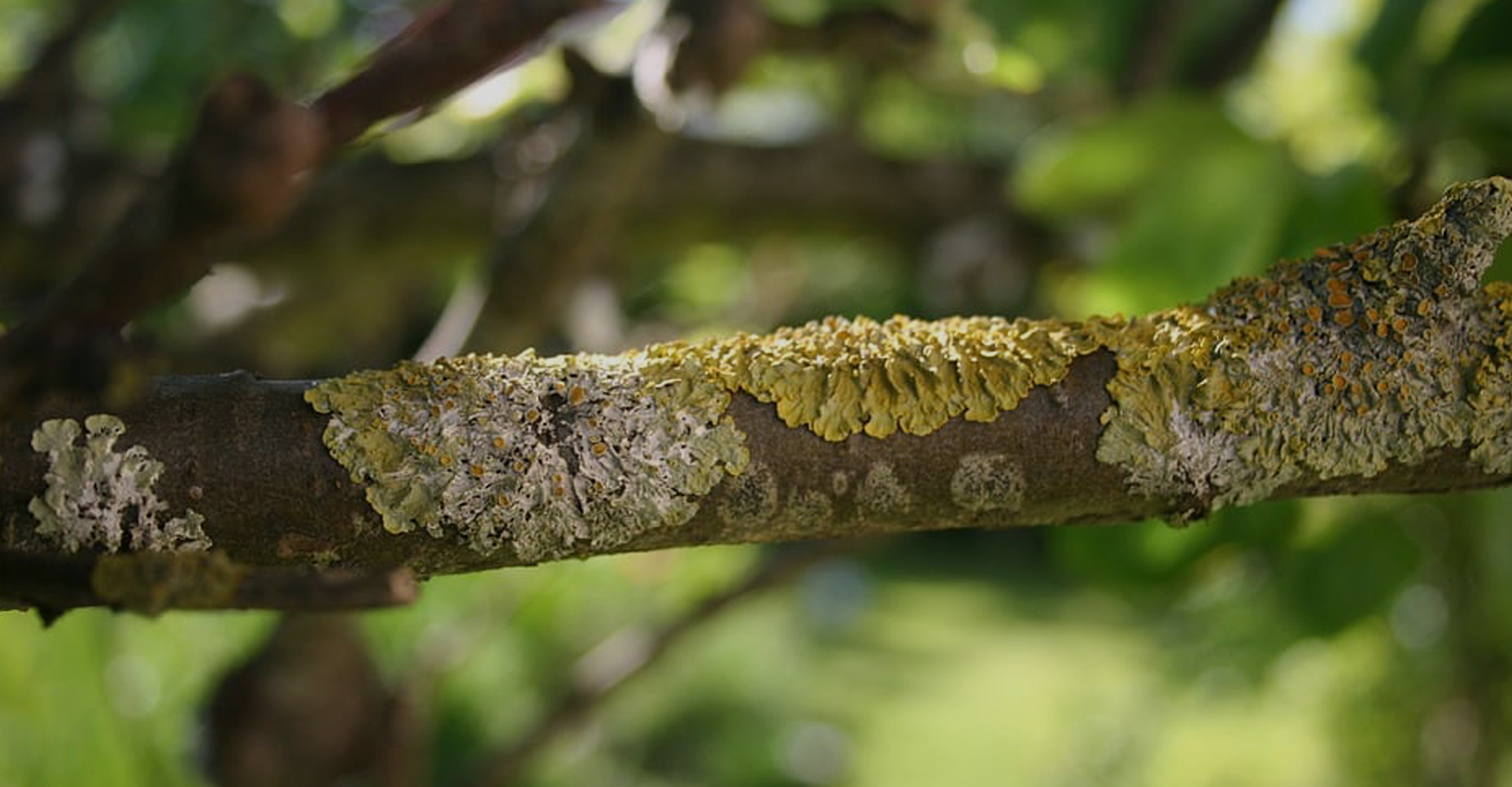 header-1920x300-stimuleren-van-onderzoek